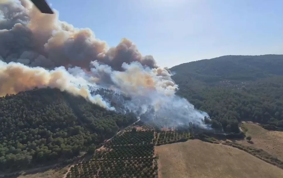 Aydın Söke Kuşadası ve Selçuk Yangını